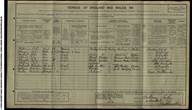 McCarthy Nellie Census 1911