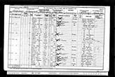 1901 census Samuel Esther Poulter