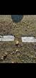Patrick and Ellen Coughlin graves