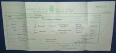 1888 Marriage License of John Nelson & Emily Duffy