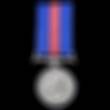 Patrick McCarthy's Service medal